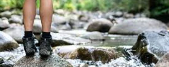 Chaussures de Randonnée Imperméables: Meilleurs options